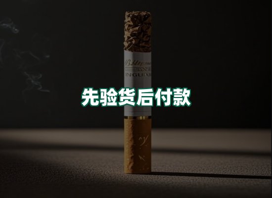 核心优势